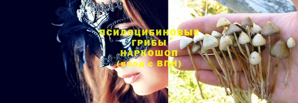 ECSTASY Новозыбков