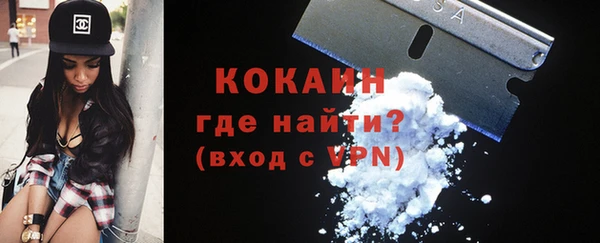 молекула духа Новодвинск