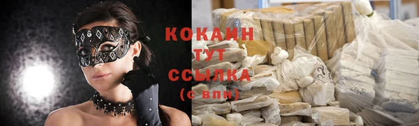 ECSTASY Новозыбков