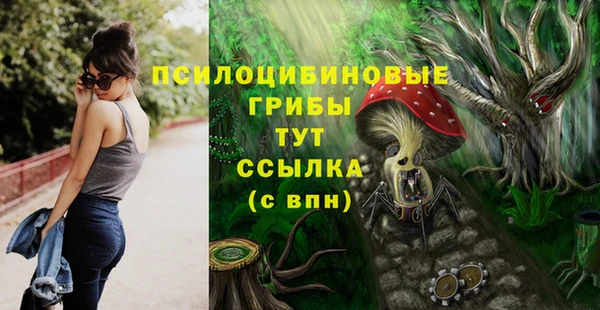 молекула духа Новодвинск