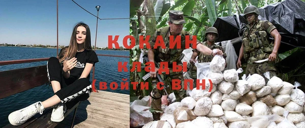 прущие грибы Нея
