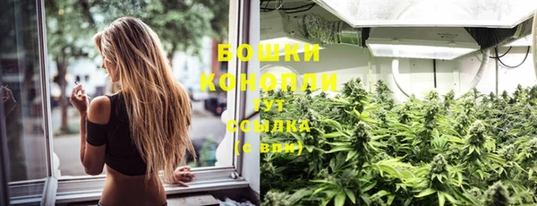 ECSTASY Новозыбков