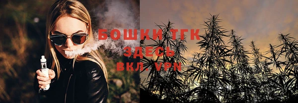 молекула духа Новодвинск