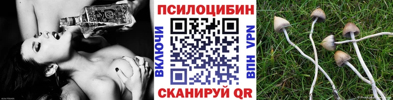 mega онион  Лукоянов  Галлюциногенные грибы мицелий  наркотики 